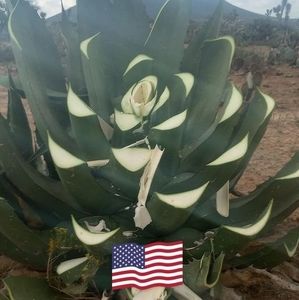 Meet your Posher, Juan